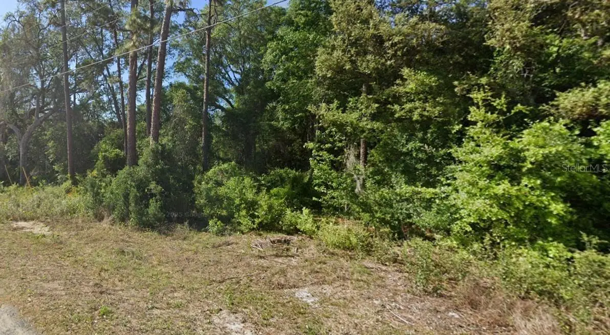 SE 17th Lane, Ocklawaha, FL 32179 - Image #1