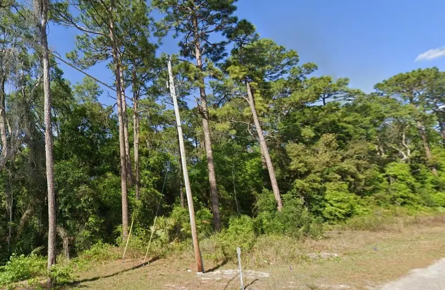SE 17th Lane, Ocklawaha, FL 32179 - Image #2
