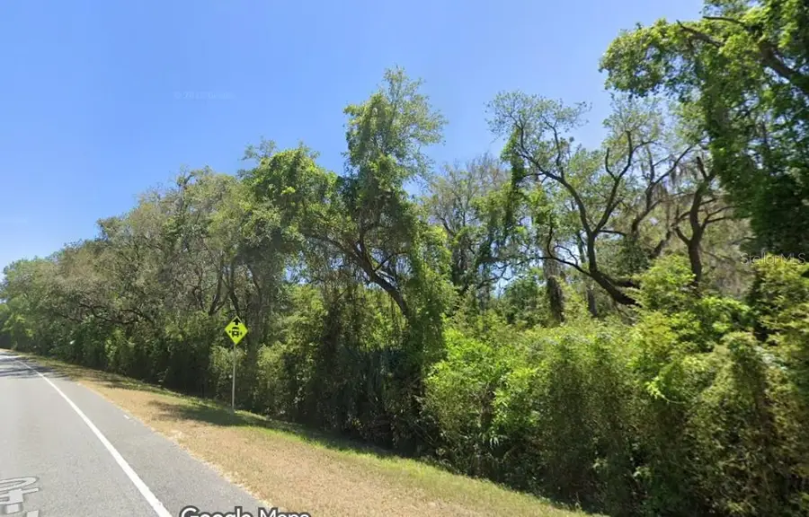 SE 17th Lane, Ocklawaha, FL 32179 - Image #3