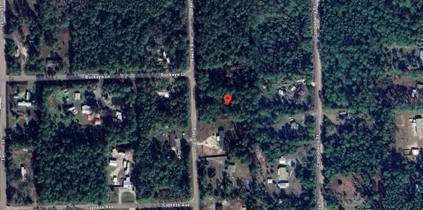1759 Beech Boulevard, BUNNELL, FL 32110