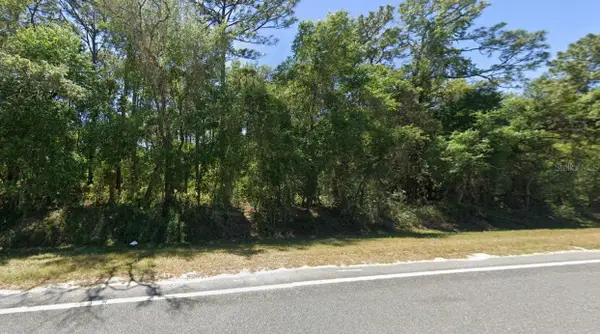 SE 17th Lane, OCKLAWAHA, FL 32179