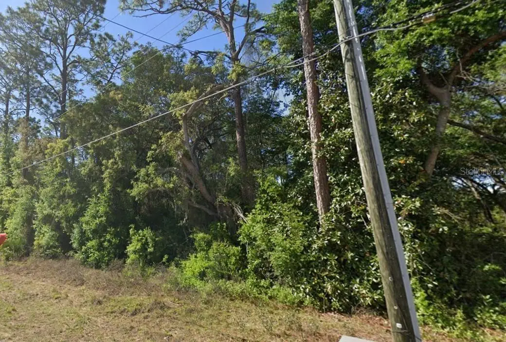 SE 17th Lane, Ocklawaha, FL 32179 - Image #1