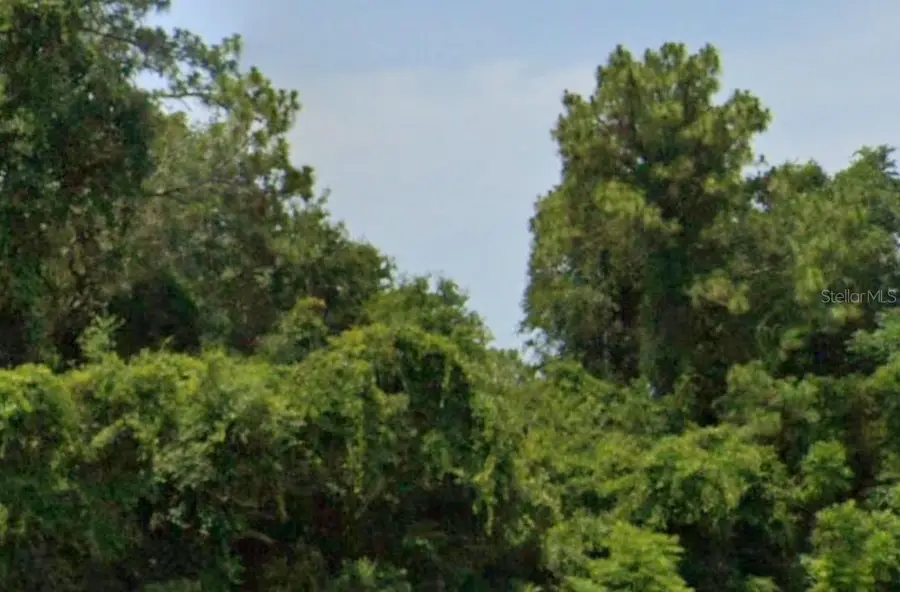 SE 17th Lane, Ocklawaha, FL 32179 - Image #2