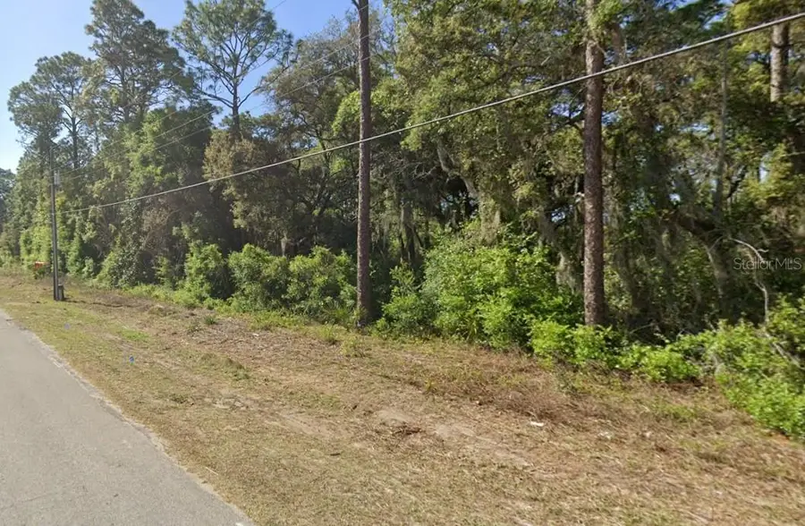 SE 17th Lane, Ocklawaha, FL 32179 - Image #3