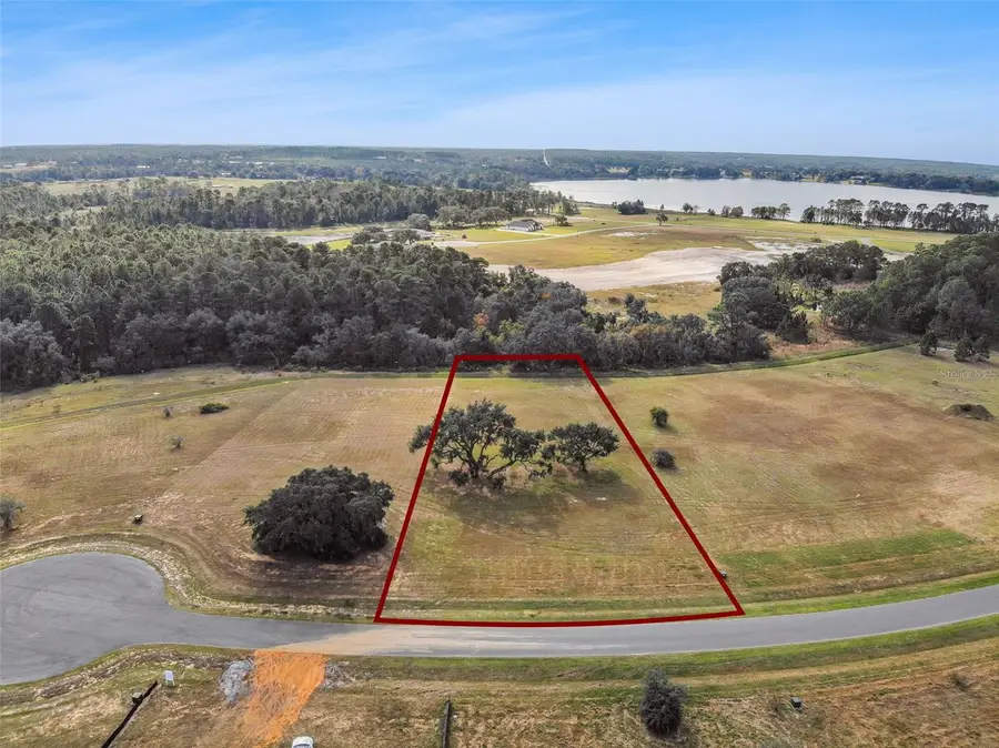 38538 Wooded Meadow Drive, Umatilla, FL 32784 - Image #2