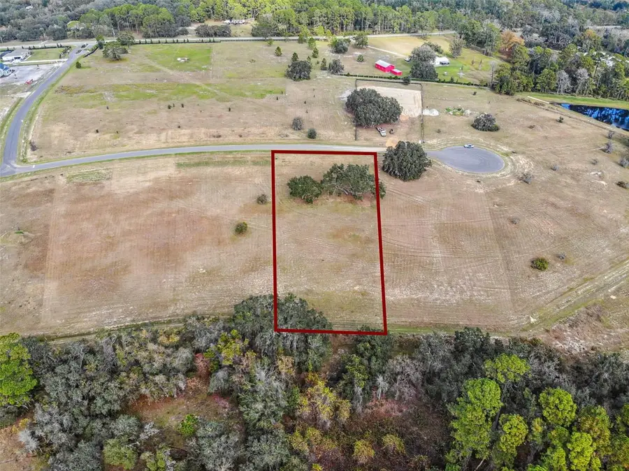38538 Wooded Meadow Drive, Umatilla, FL 32784 - Image #3