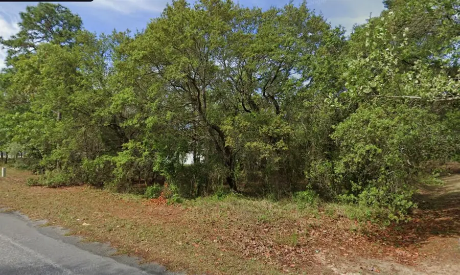 4 Honeysuckle Court N, Homosassa, FL 34446 - Image #2