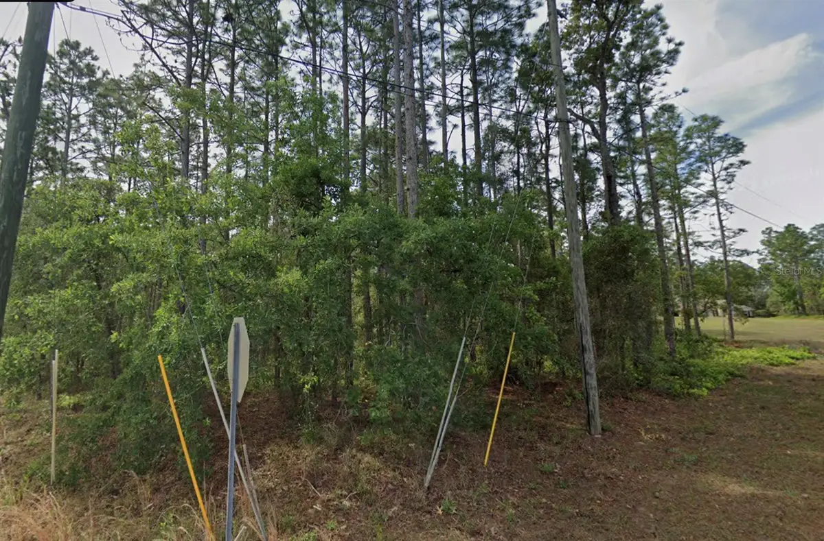 1 Sanders Court W, Homosassa, FL 34446 - Image #1