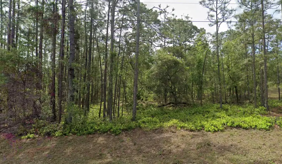 1 Sanders Court W, Homosassa, FL 34446 - Image #2