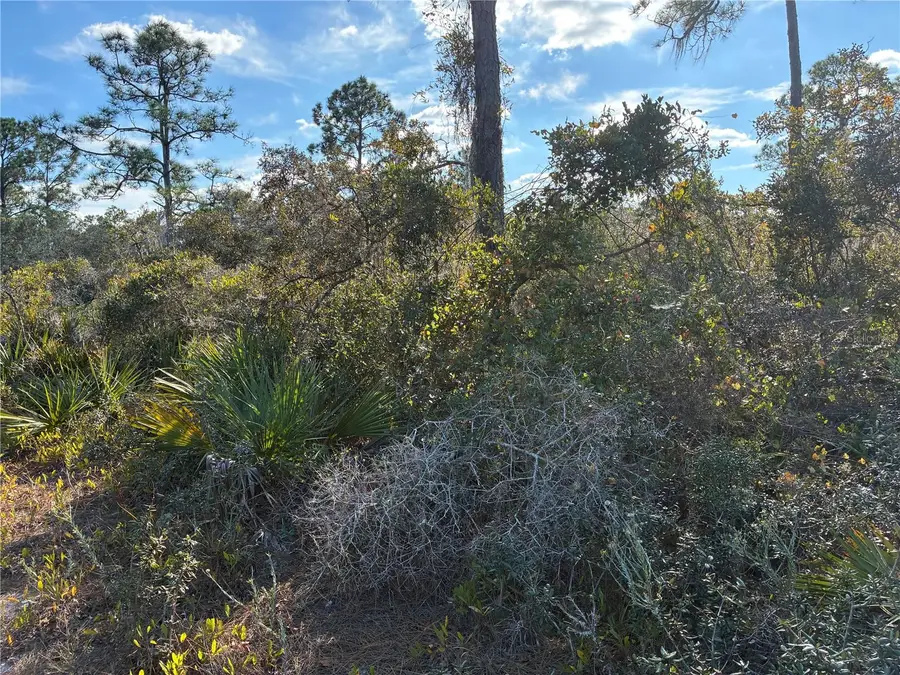 321 Showboat Avenue, Lake Placid, FL 33852 - Image #3