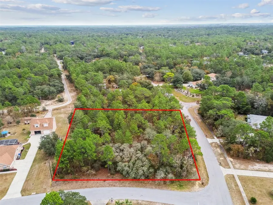 3435 W Danny Court, Beverly Hills, FL 34465 - Image #2