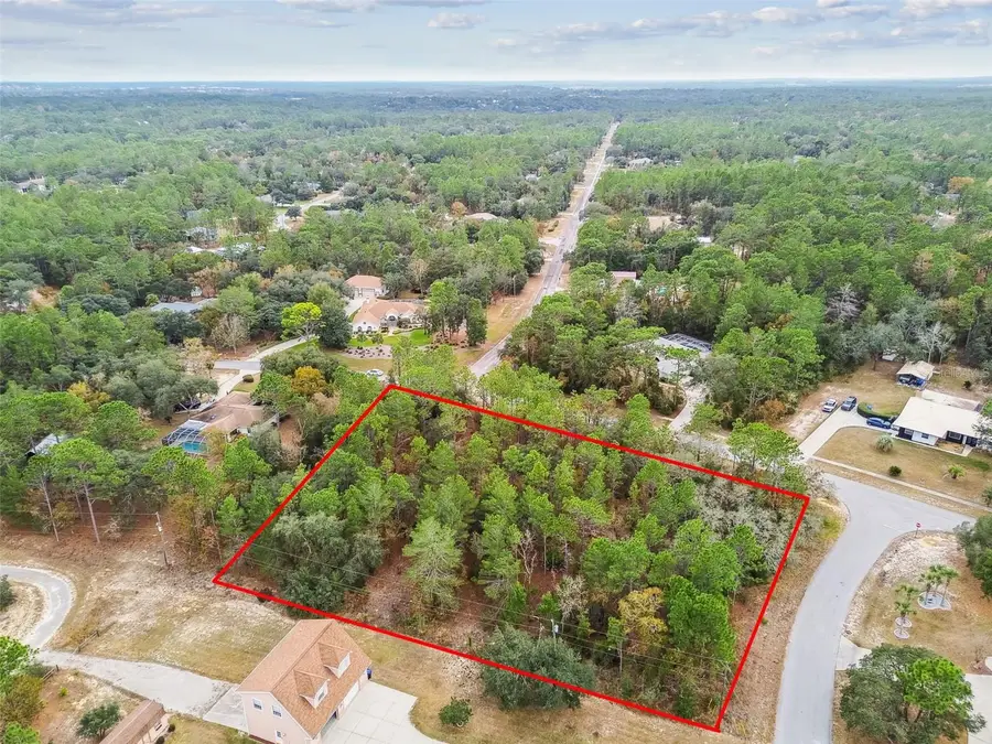 3435 W Danny Court, Beverly Hills, FL 34465 - Image #3