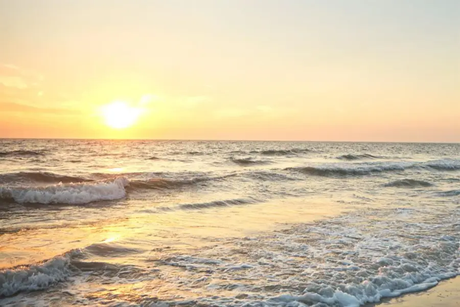 358 Monika Place, Saint Augustine, FL 32080 - Image #2