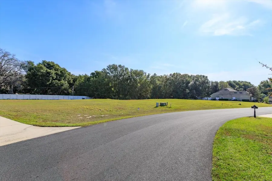 1005 Myrtle Breezes Court, Fruitland Park, FL 34731 - Image #2