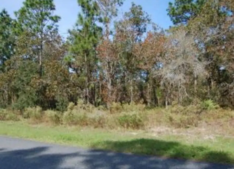 2084 W Riley Drive, Citrus Springs, FL 34434 - Image #2