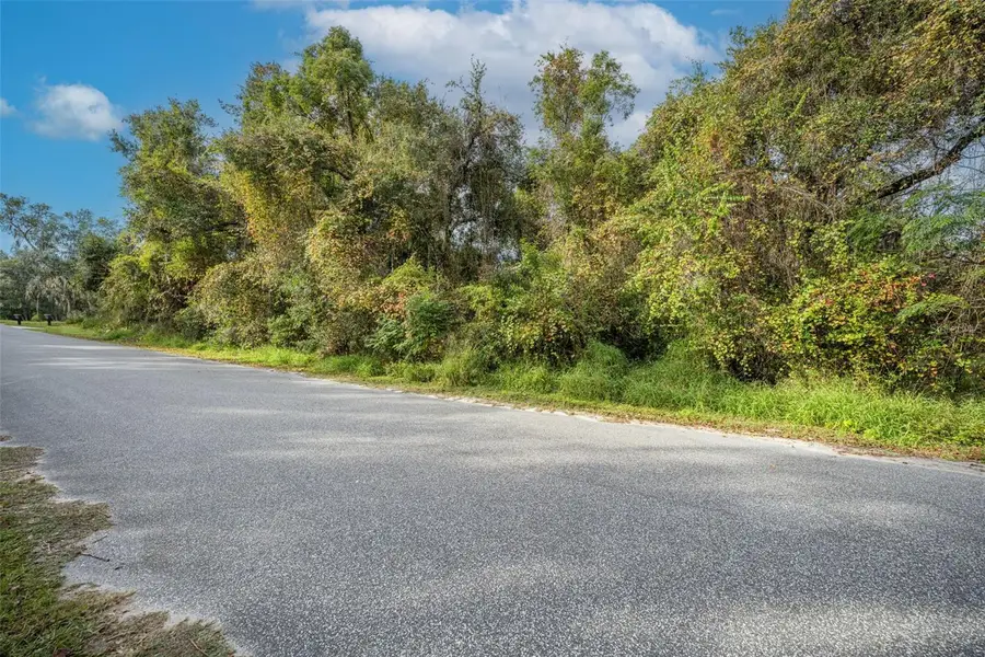 Royal Oak Road, Fruitland Park, FL 34731 - Image #2