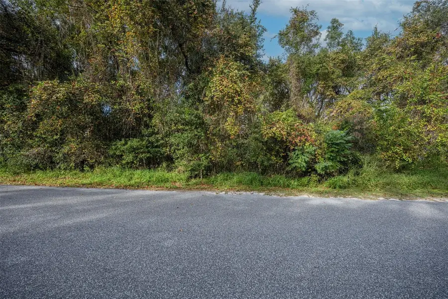 Royal Oak Road, Fruitland Park, FL 34731 - Image #3