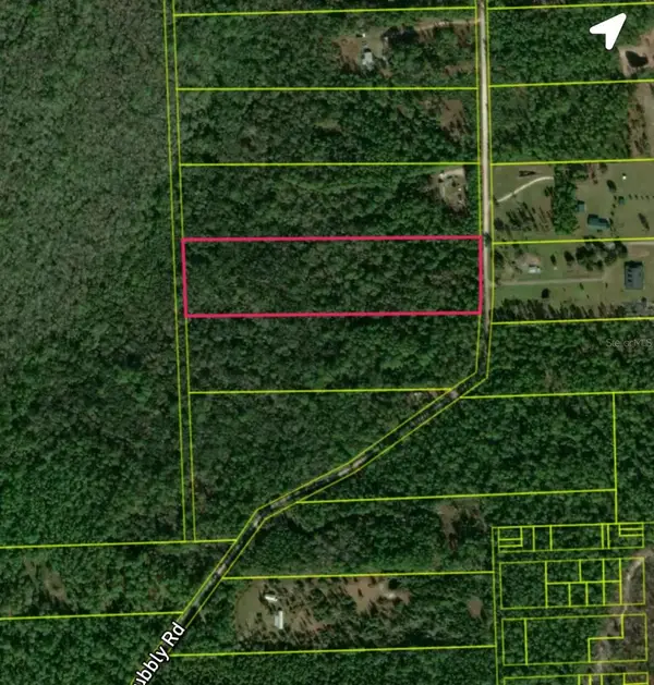 820 Old Bubbly Road, PIERSON, FL 32180