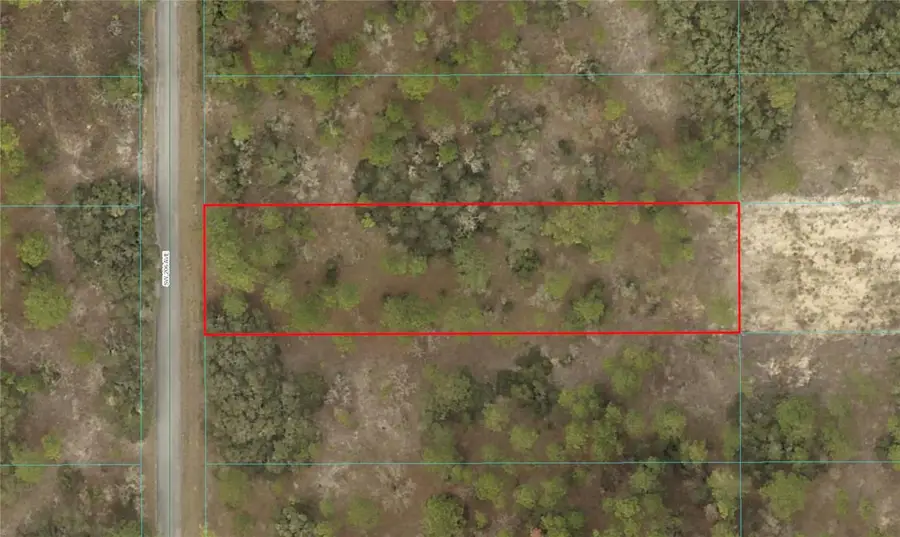 SW 206th Avenue, Dunnellon, FL 34431 - Image #3