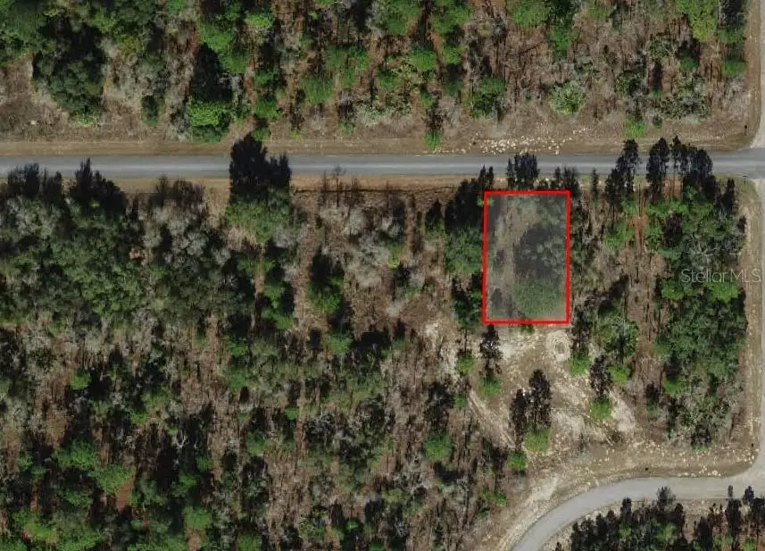 2272 W Chamberlain Street, Dunnellon, FL 34434 - Image #2