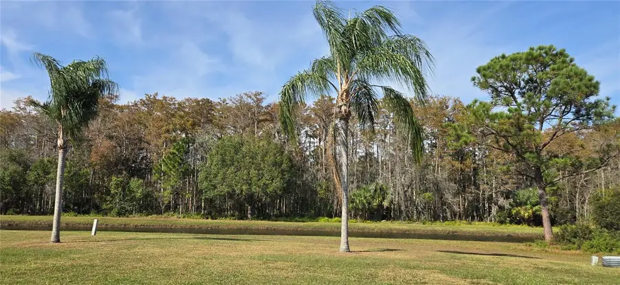 11231 Scenic View Lane, Orlando, FL 32821 - Image #3