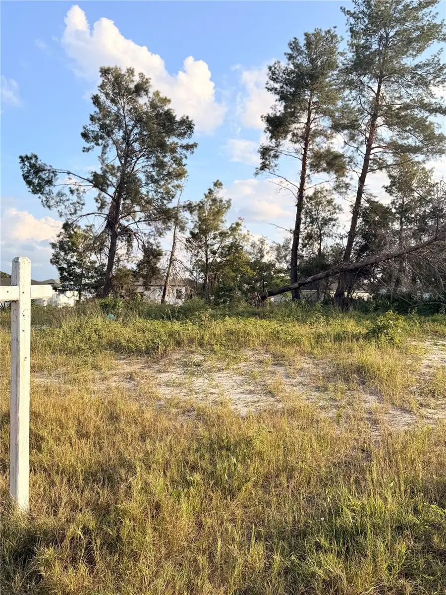 143 Zinnia Lane W, Poinciana, FL 34759 - #2