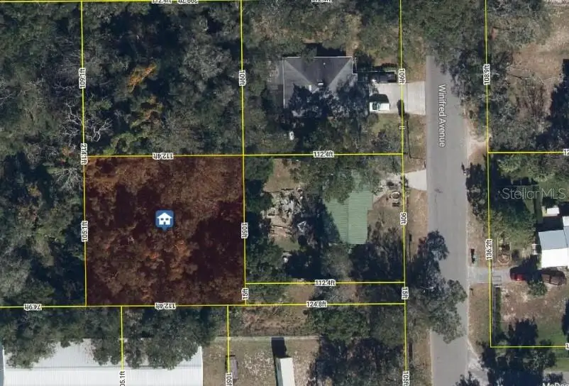2834 Winifred Avenue, Zellwood, FL 32798 - Image #1