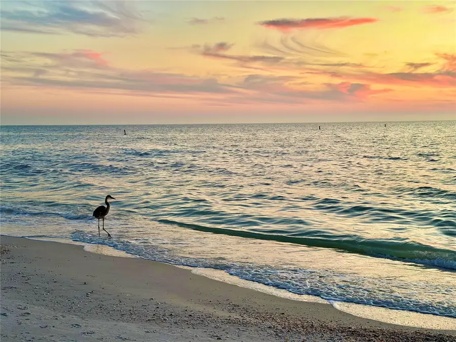 4608 Mirabella Court, Saint Pete Beach, FL 33706 - Image #3