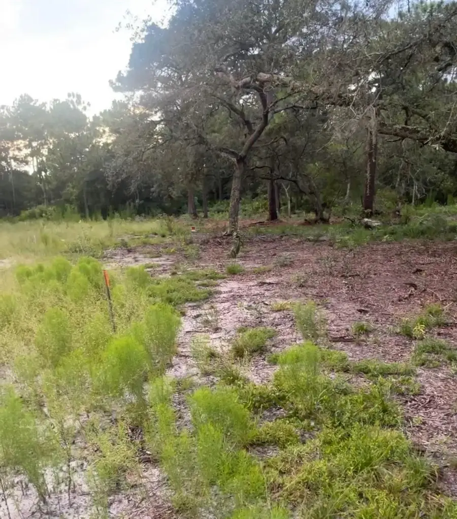 Brookside Circle, Mount Dora, FL 32757 - Image #2