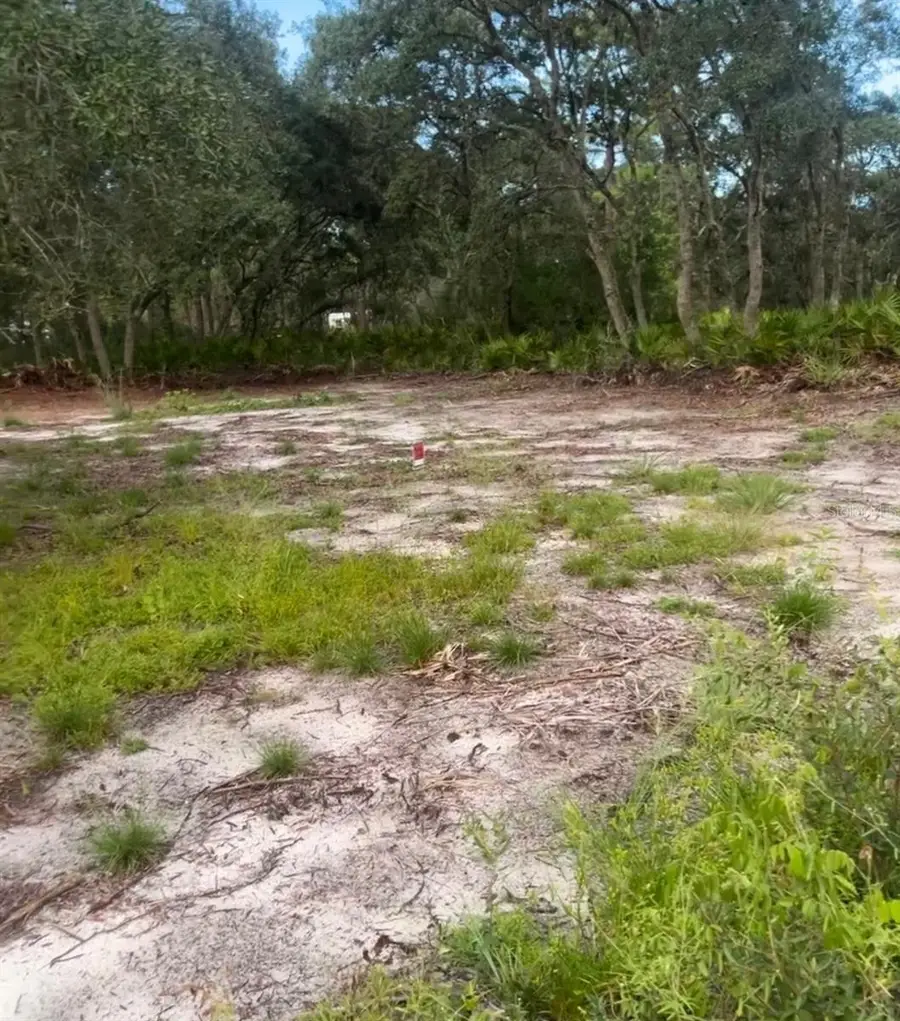 Brookside Circle, Mount Dora, FL 32757 - Image #3