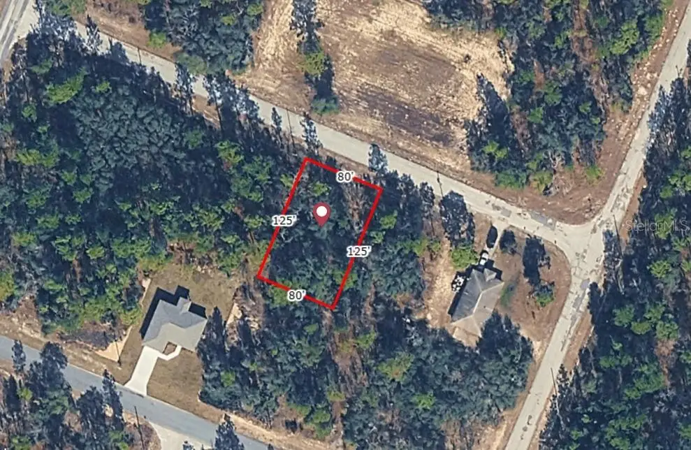 9714 W Calla Lily Drive, Dunnellon, FL 34433 - Image #1