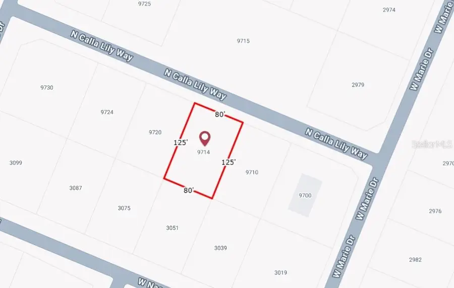 9714 W Calla Lily Drive, Dunnellon, FL 34433 - Image #2