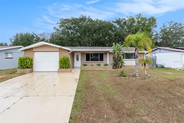 3036 Blue Bird Drive, HOLIDAY, FL 34690