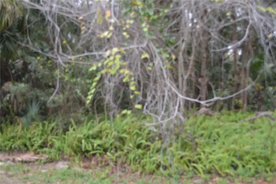 0 Hester Avenue Avenue, Sanford, FL 32773 - Image #2