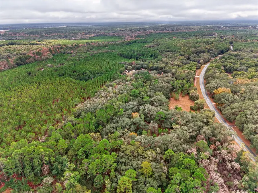 910 S County Road 21, Hawthorne, FL 32640 - Image #2