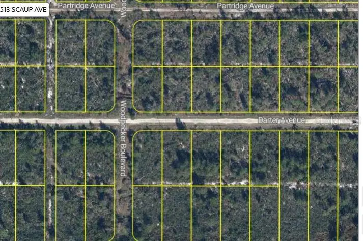 478 Darter Avenue, Sebring, FL 33870 - Image #3