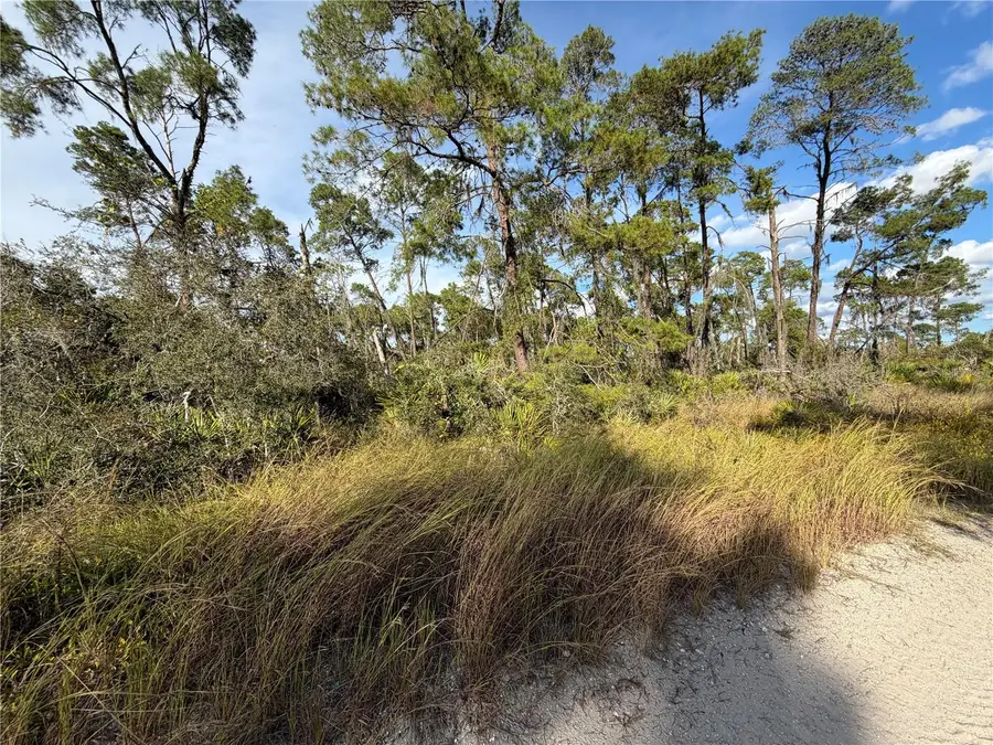 556 Quail Avenue, Sebring, FL 33870 - Image #2