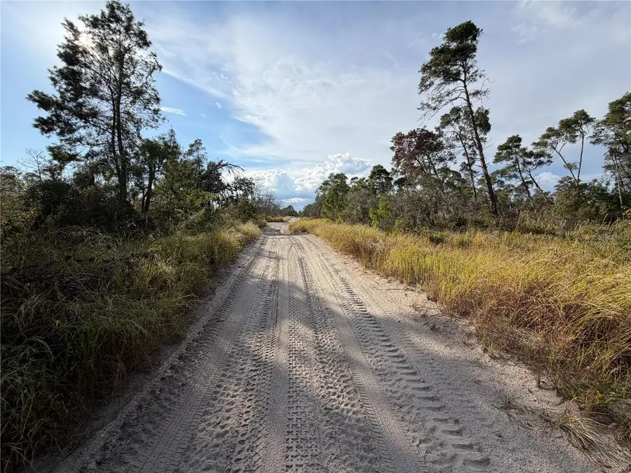 556 Quail Avenue, Sebring, FL 33870 - Image #3