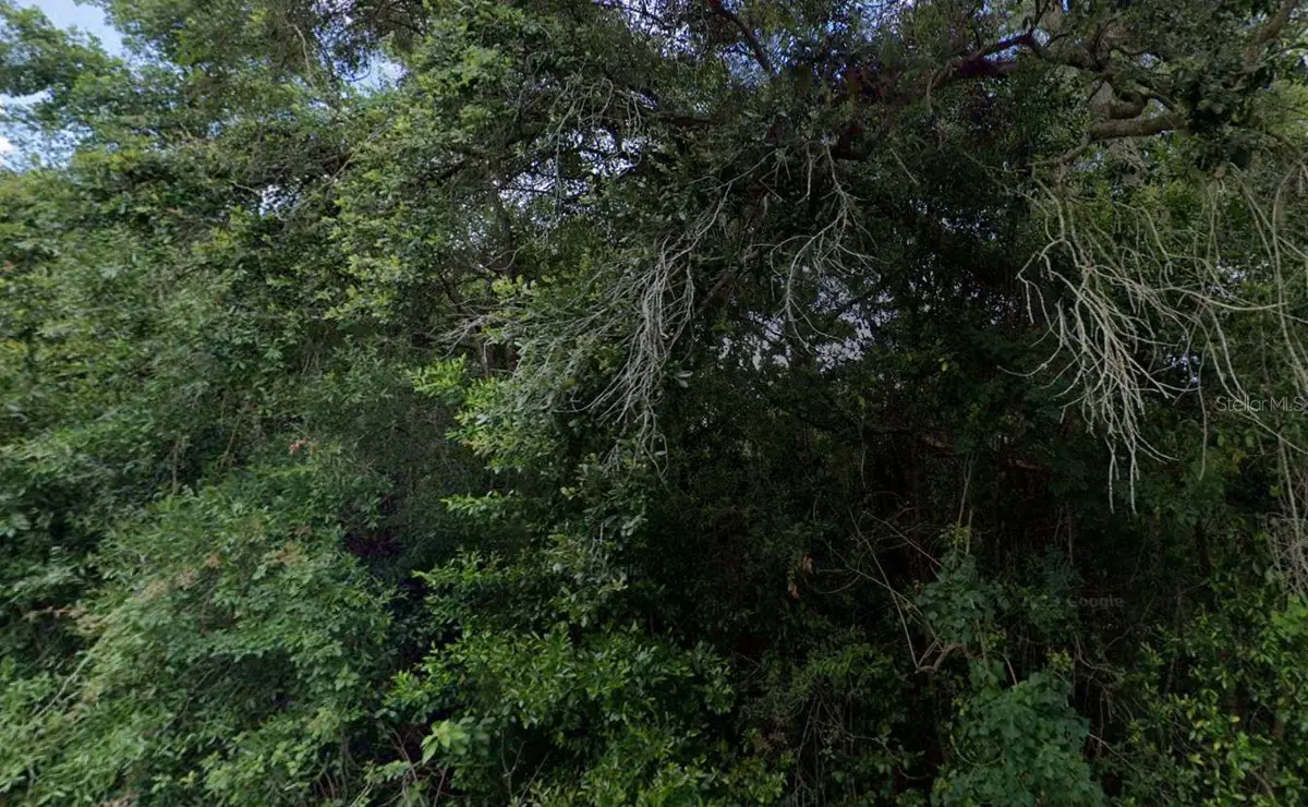 3288/3302 E Alisa Lane, Inverness, FL 34453 - Image #1