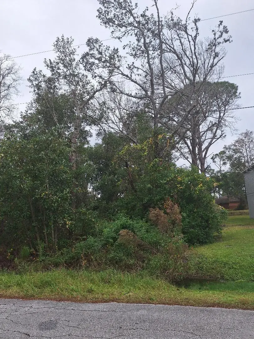 1580 2nd Avenue, Deland, FL 32724 - Image #1