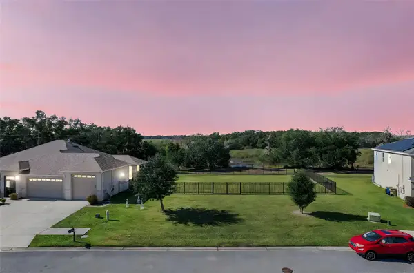 733 Black Eagle Drive, GROVELAND, FL 34736