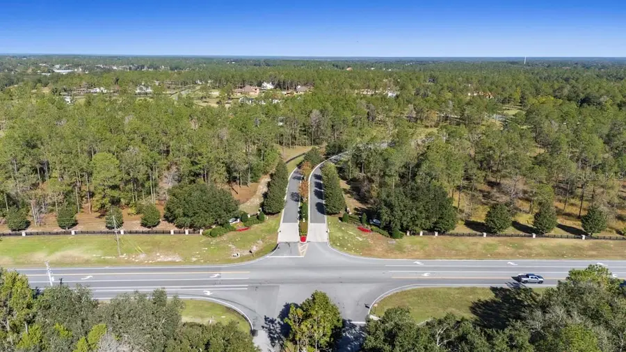 24250 Deep Springs Loop, Eustis, FL 32736 - Image #3