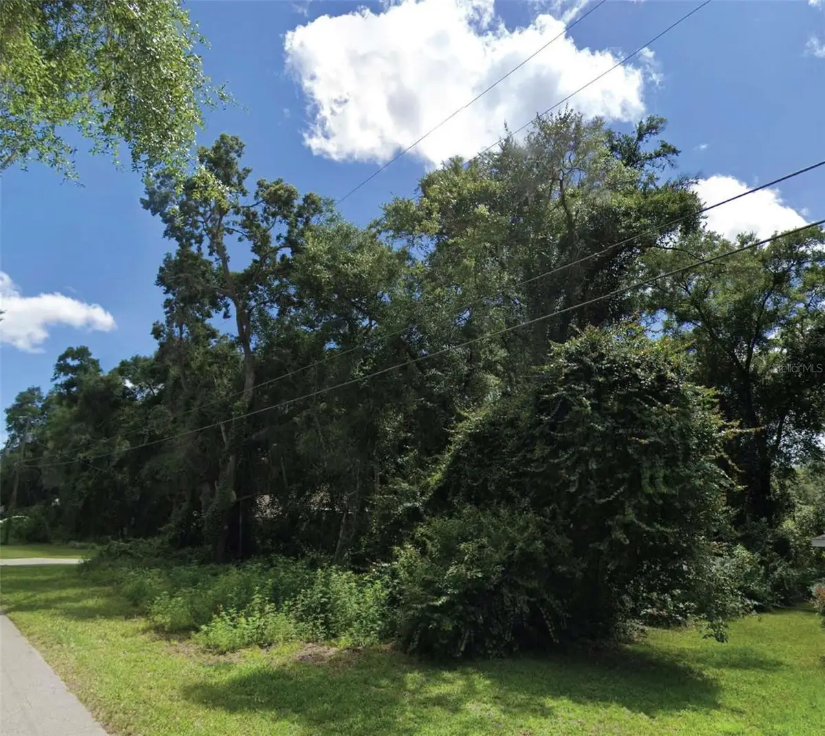 5136 S Swallow Avenue, Inverness, FL 34452 - Image #1