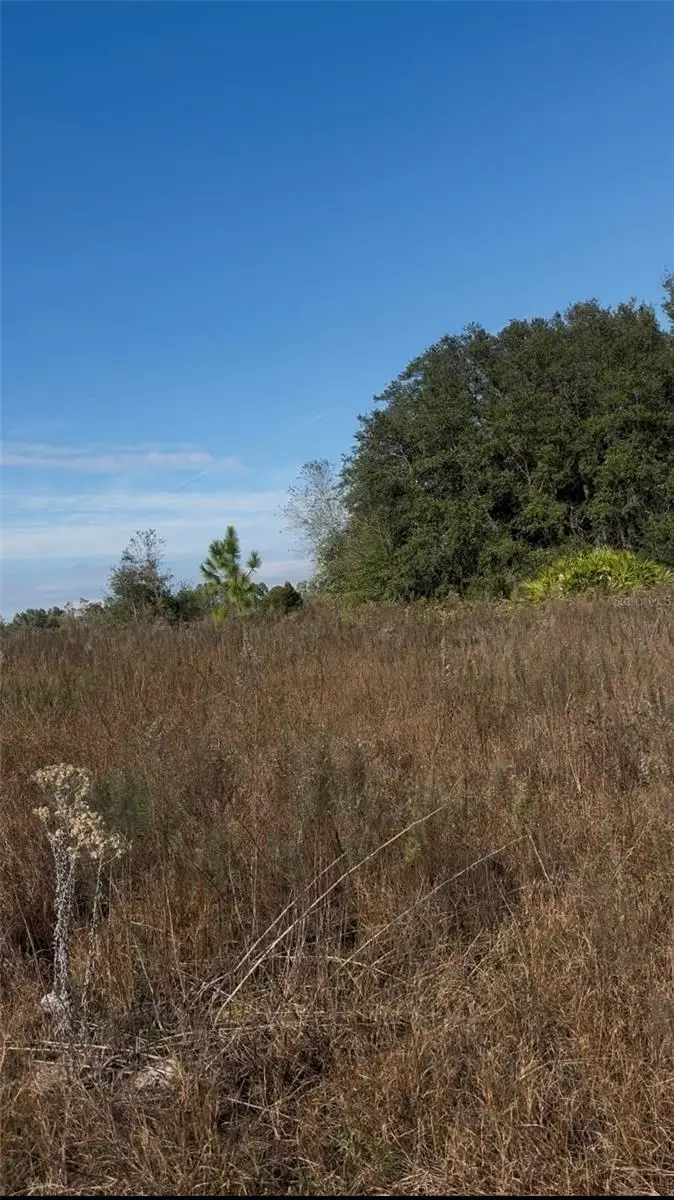 Lot 13 Sw 151st Ave, Ocala, FL 34481 - Image #2