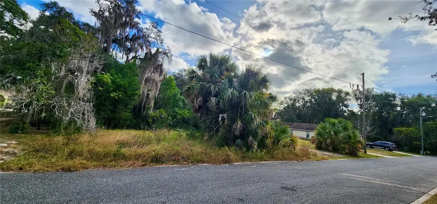 839 Summerall Avenue, Tavares, FL 32778 - Image #3