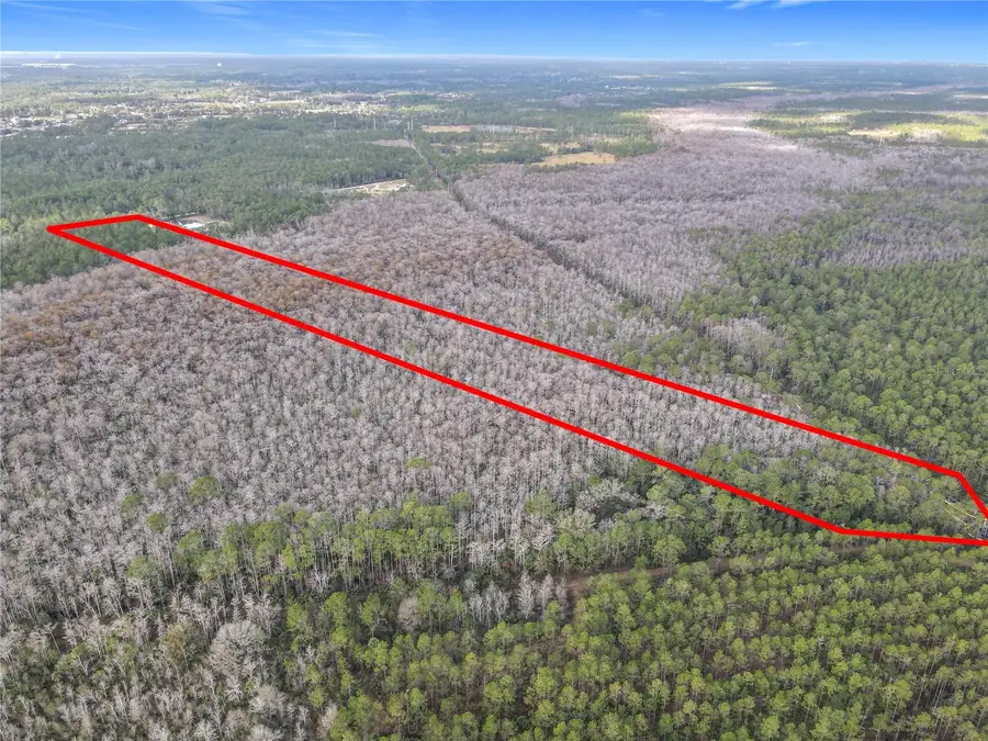 2459 Old Train Road, Deltona, FL 32738 - Image #2