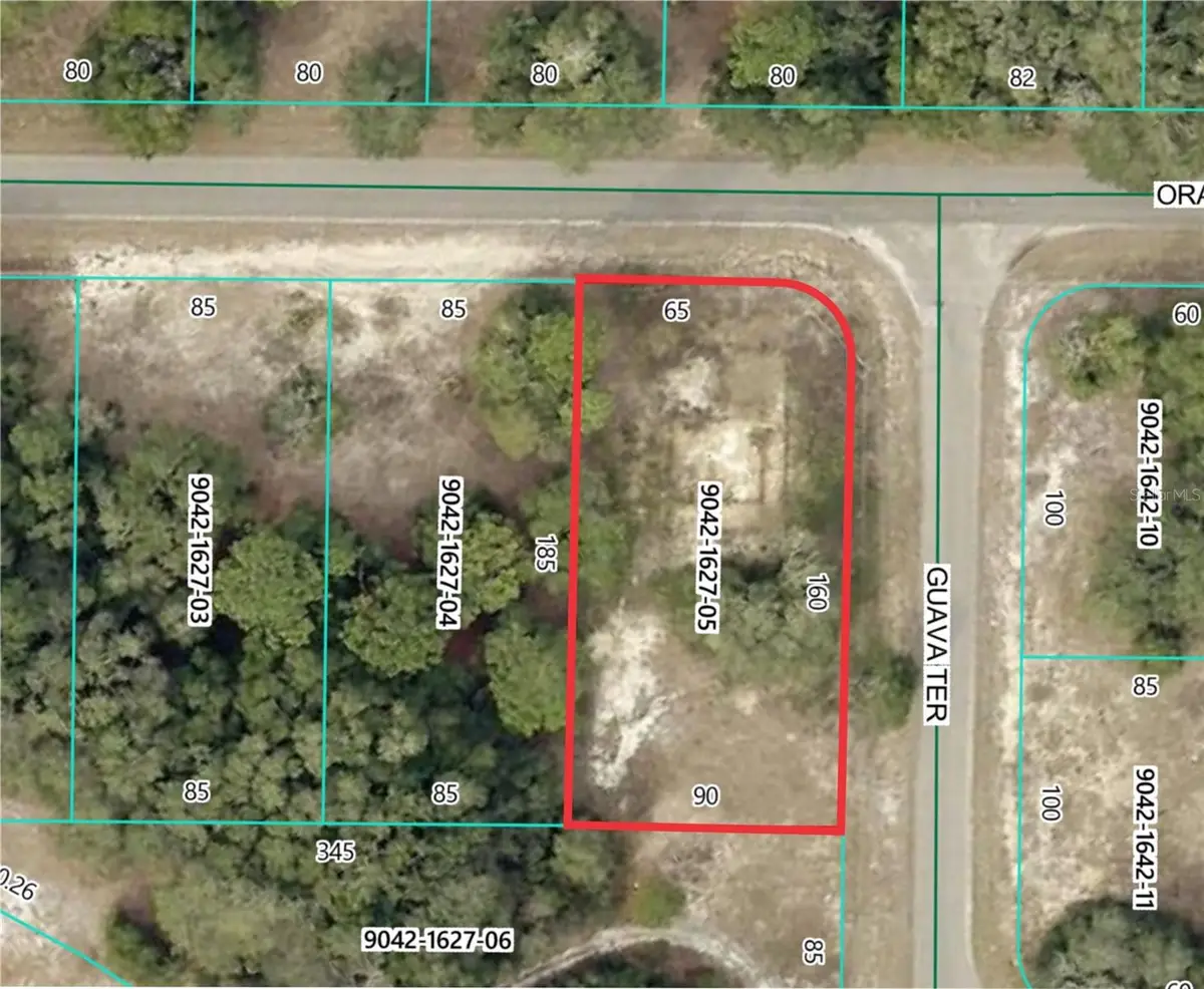11745 Orange Road, Ocklawaha, FL 32179 - Image #1