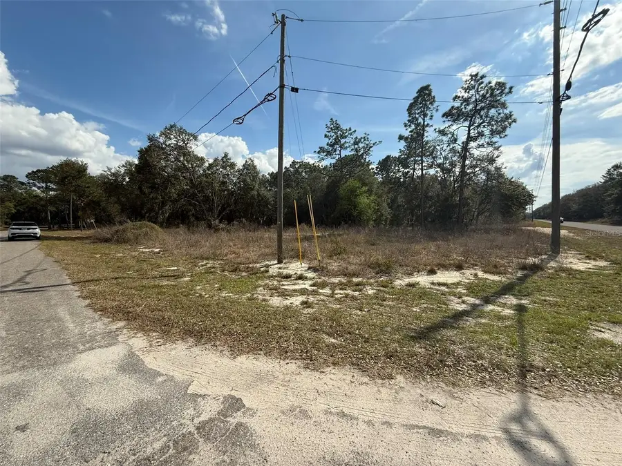 11745 Orange Road, Ocklawaha, FL 32179 - Image #2