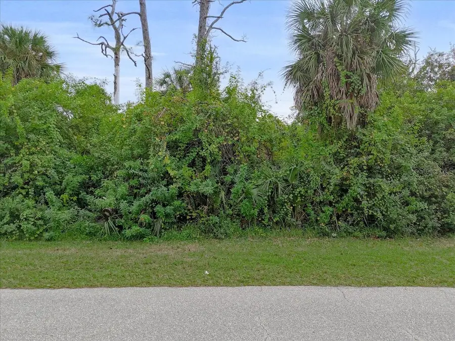 11947 Helicon Avenue, Port Charlotte, FL 33981 - Image #2