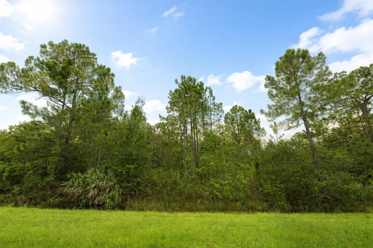 18715 Sodbury Street, Orlando, FL 32833 - Image #1